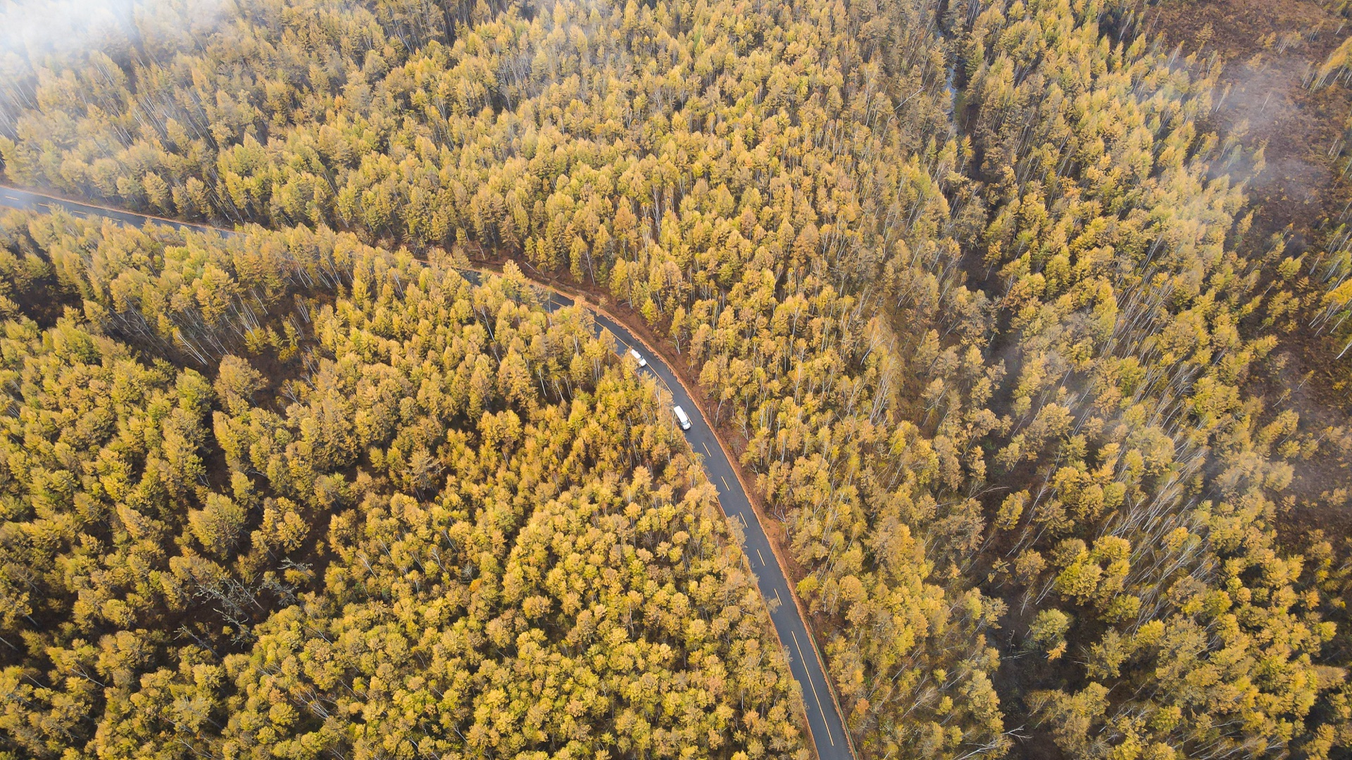 秋季大兴安岭金色林海公路航拍