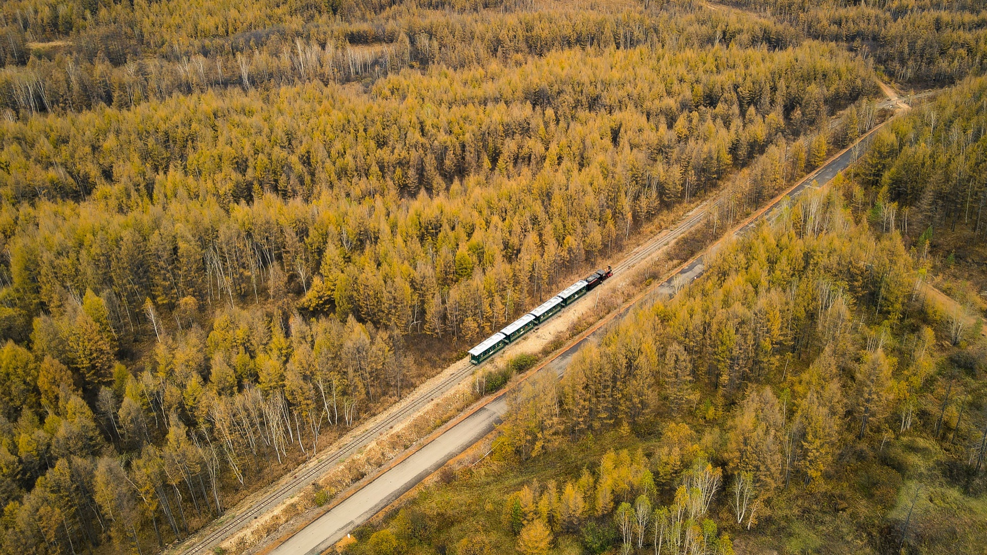 秋季大兴安岭列车穿越金色林海