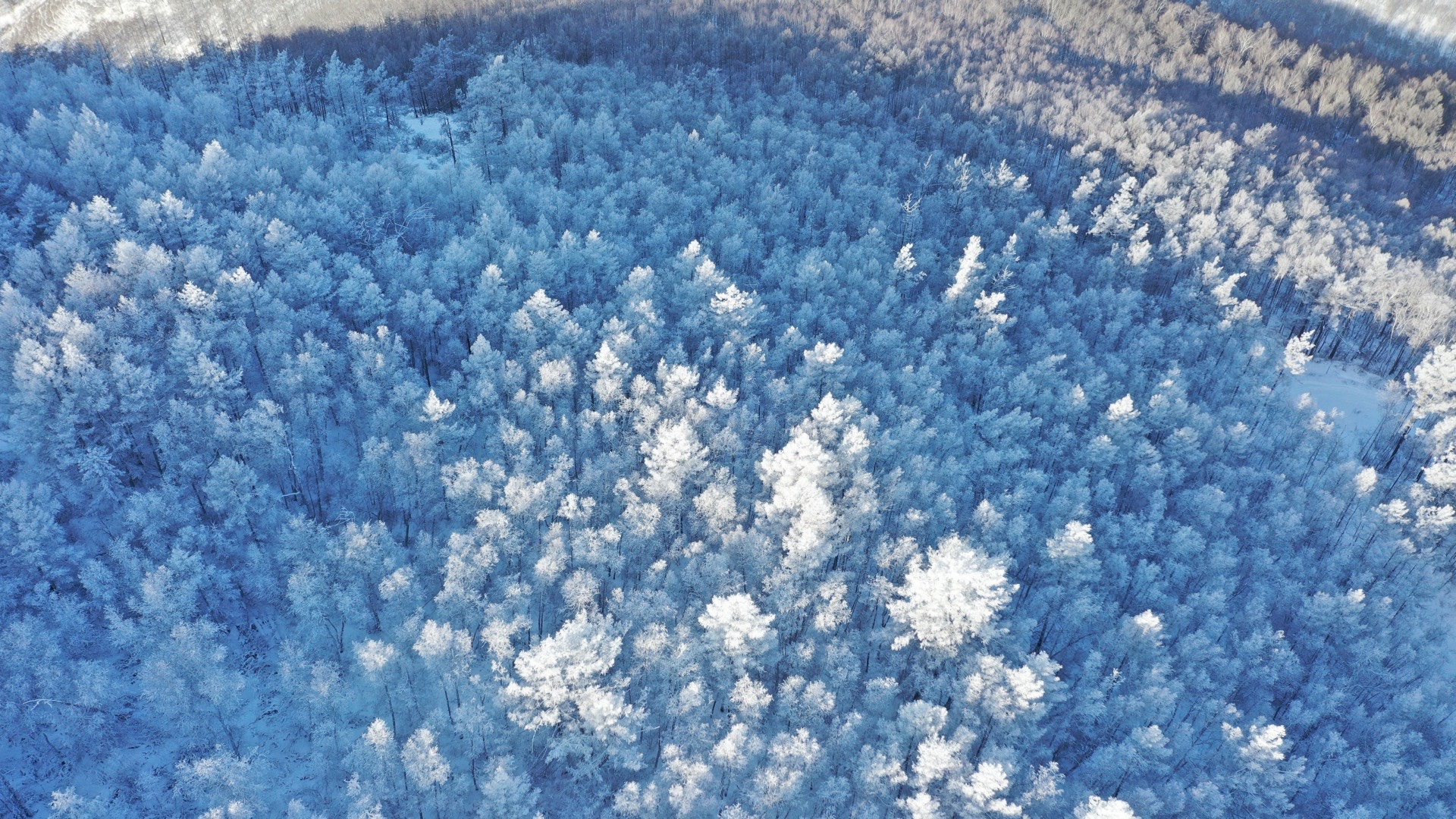 大兴安岭雾凇森林