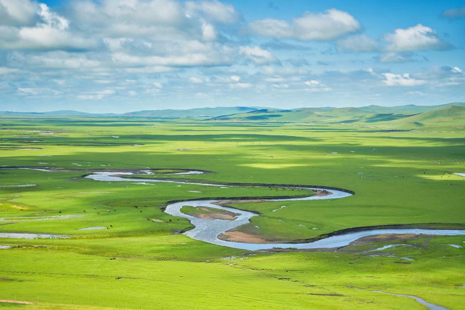 从犹豫到二刷的妈妈