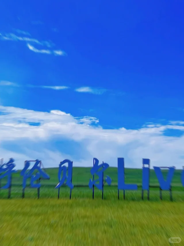 夏天的呼伦贝尔