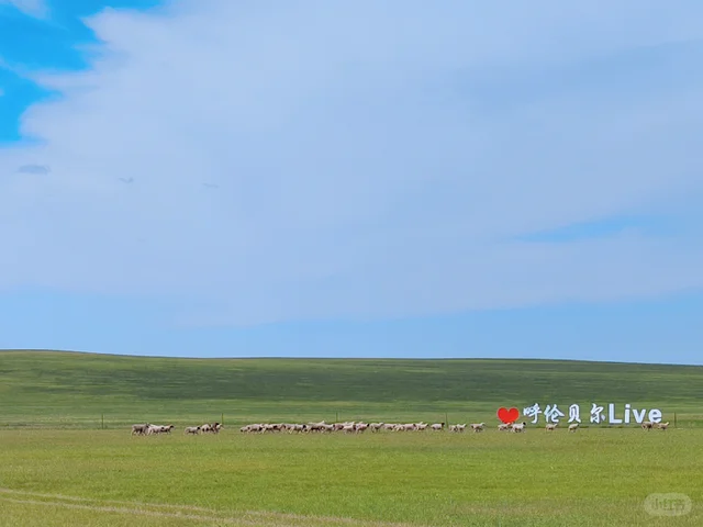 6天5晚呼伦贝尔亲子游，来啦